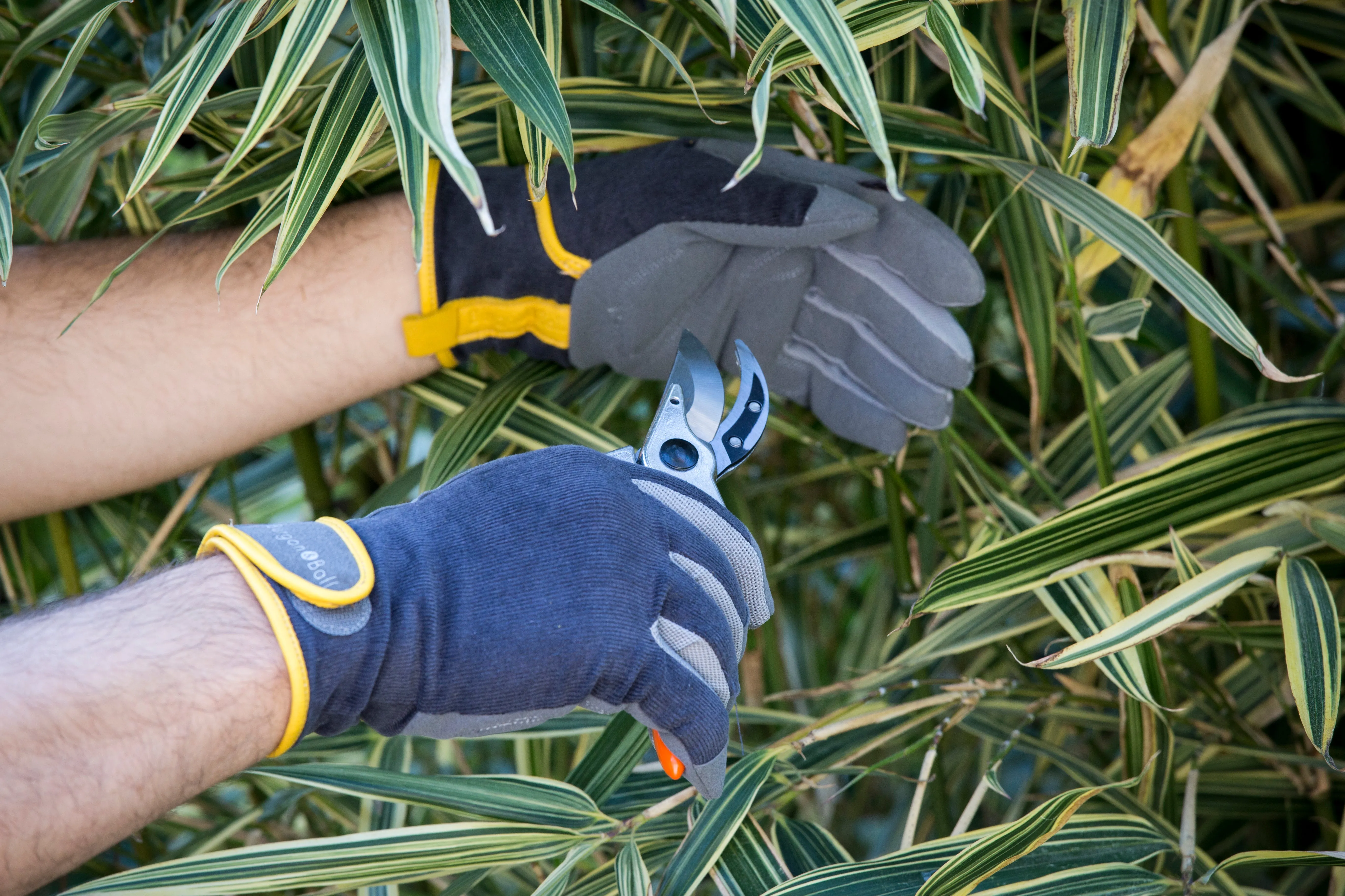 Burgon & Ball Dig the Glove - Slate Corduroy