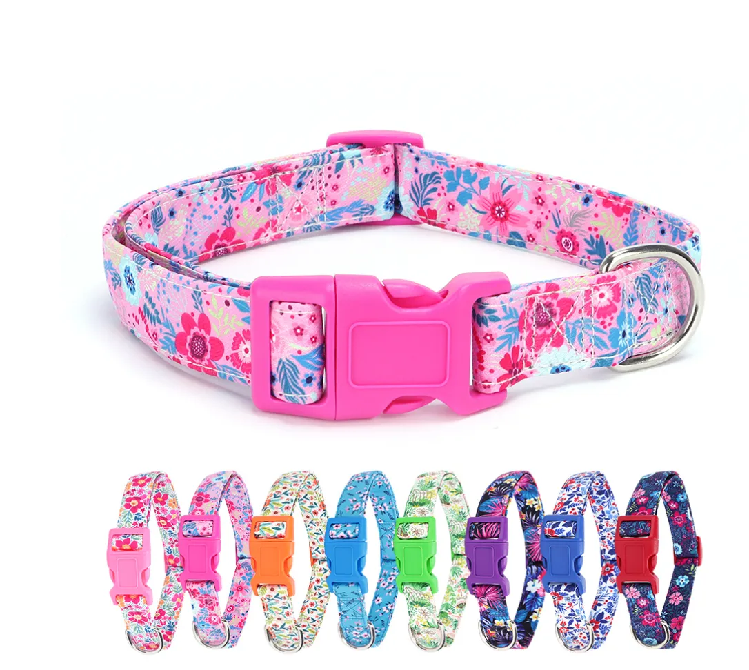 Chenpet Wholesaler Pet Collars Sets Dog Leashes