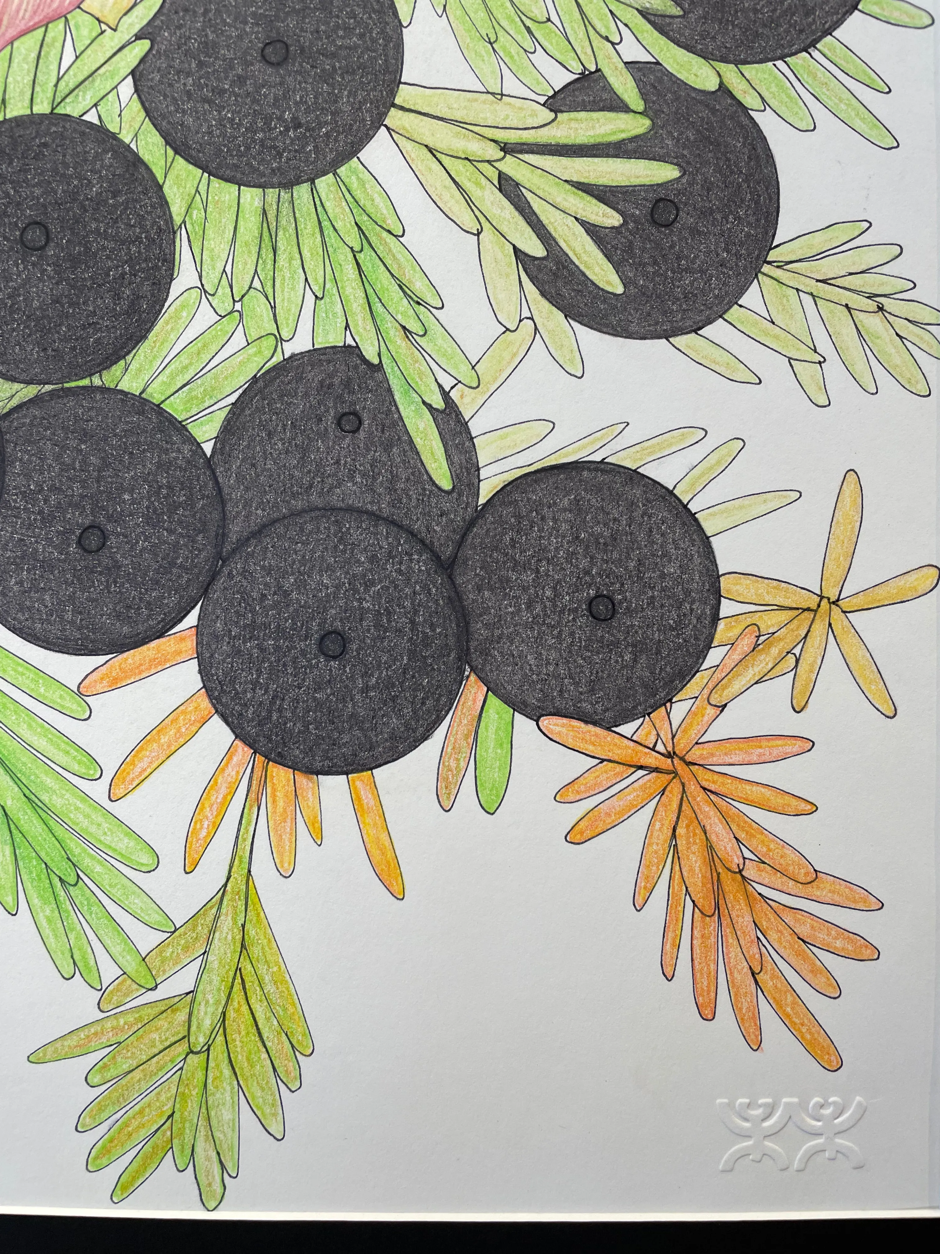 Crowberries, by Pudloo Samayualie