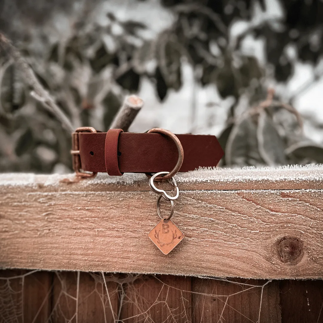 Custom Winter Biothane Dog Collars