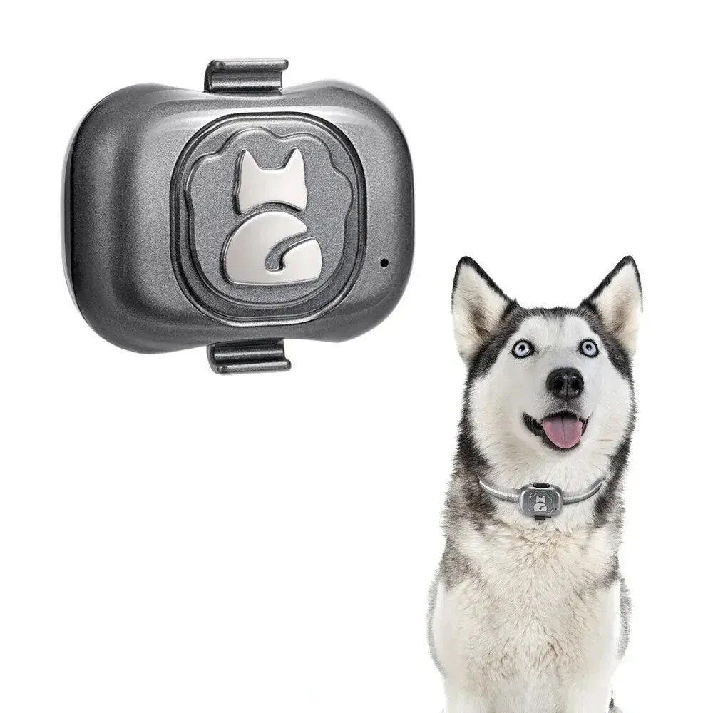 Dog Collar Pet Locator Cat and Dog GPS Collar - Locator  Anti-lost Artifact Smart Dog Training