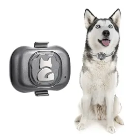 Dog Collar Pet Locator Cat and Dog GPS Collar - Locator  Anti-lost Artifact Smart Dog Training