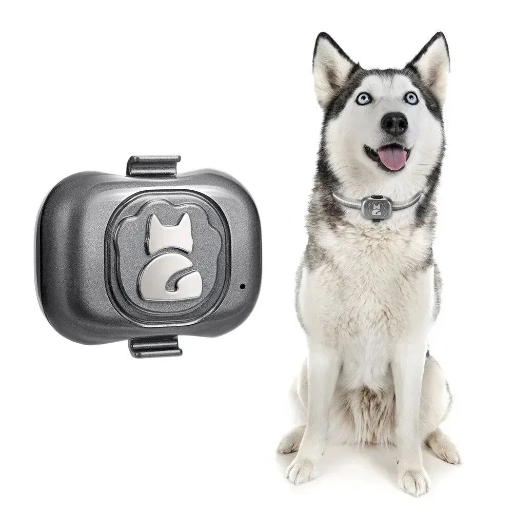 Dog Collar Pet Locator Cat and Dog GPS Collar - Locator  Anti-lost Artifact Smart Dog Training