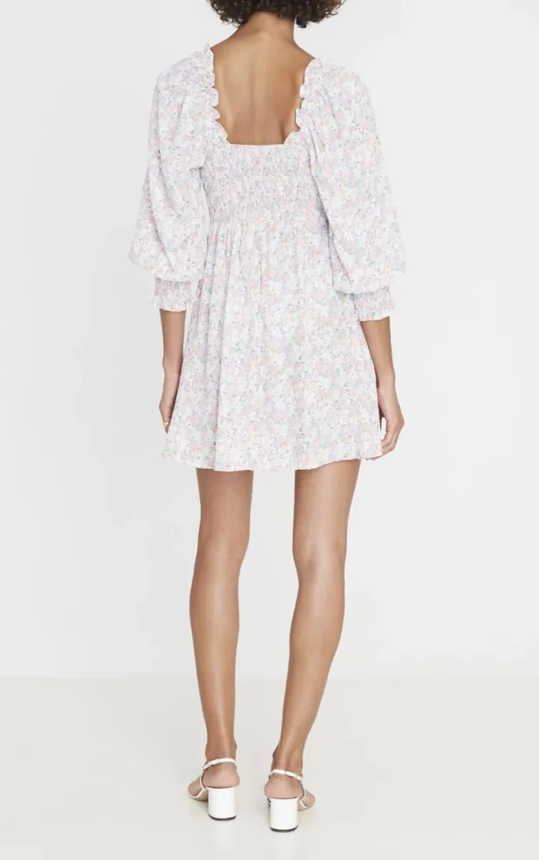 Ira Mini Dress | Vionette Floral