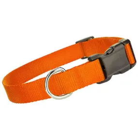 Nylon Collar - Orange