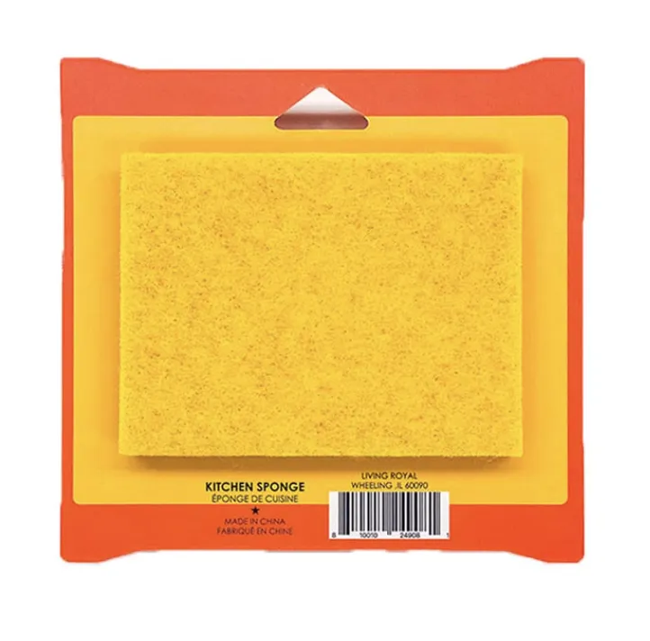 Ramen Noodle Sponge