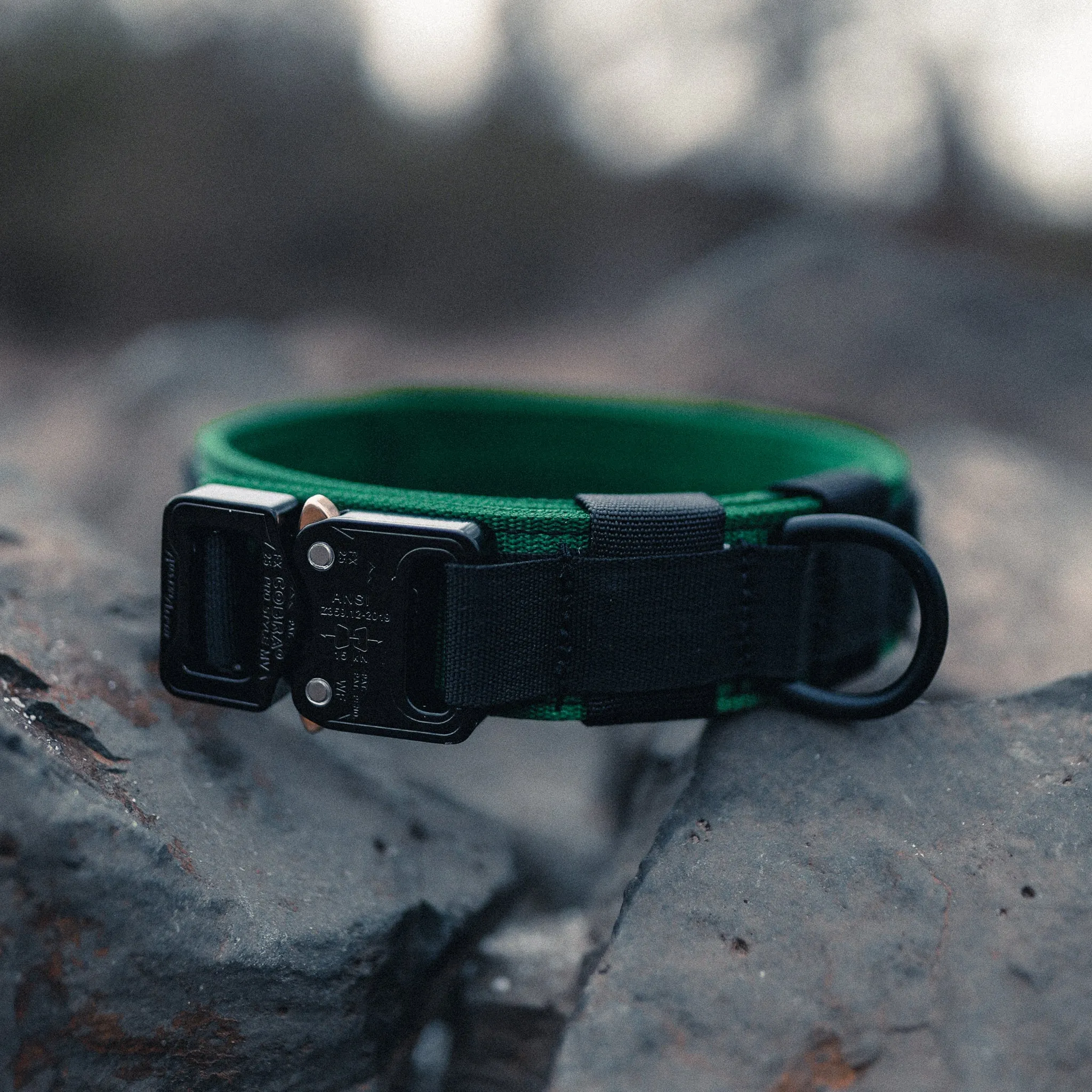 Trigger Nylon Collar 1.5" (Black/Forest Green)
