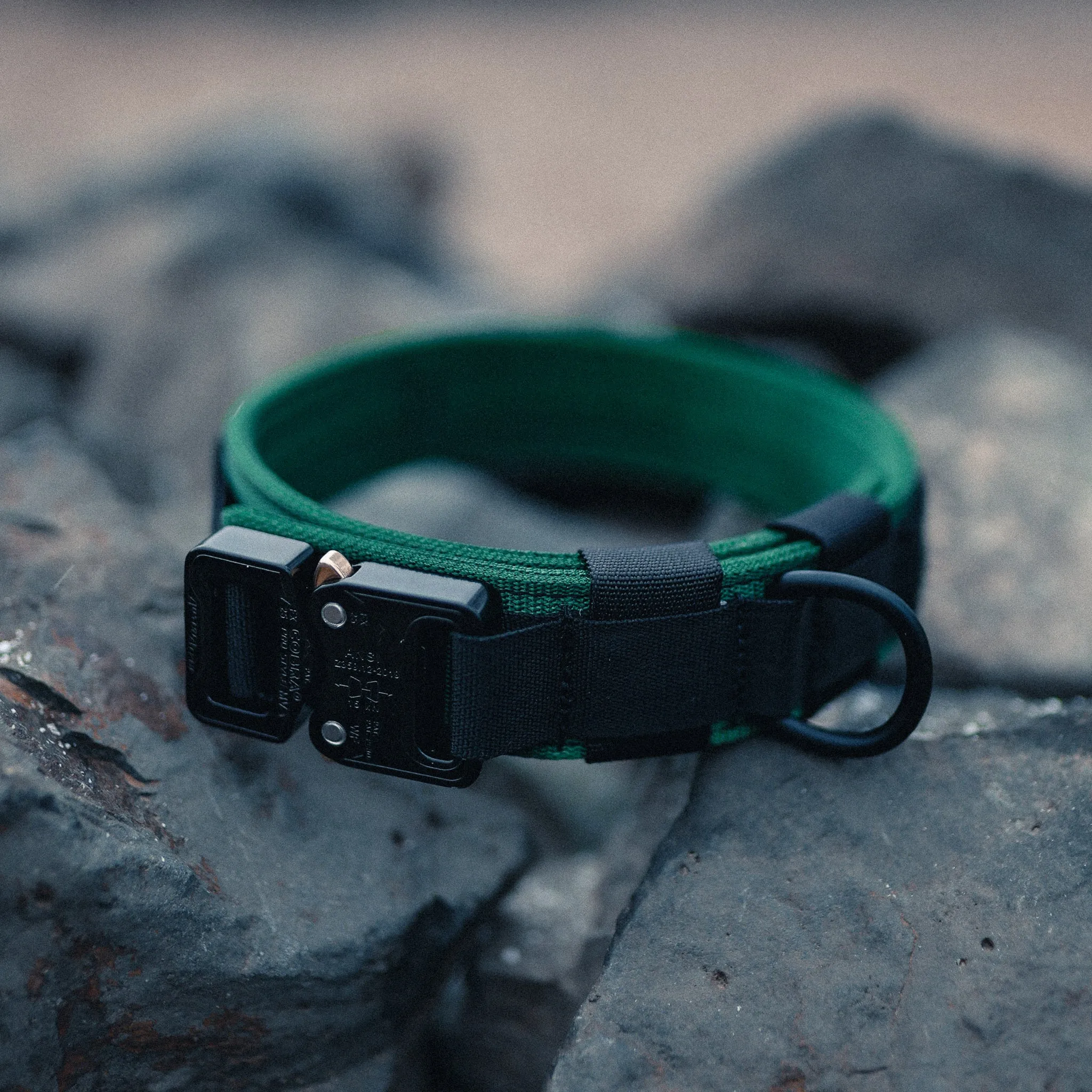 Trigger Nylon Collar 1.5" (Black/Forest Green)