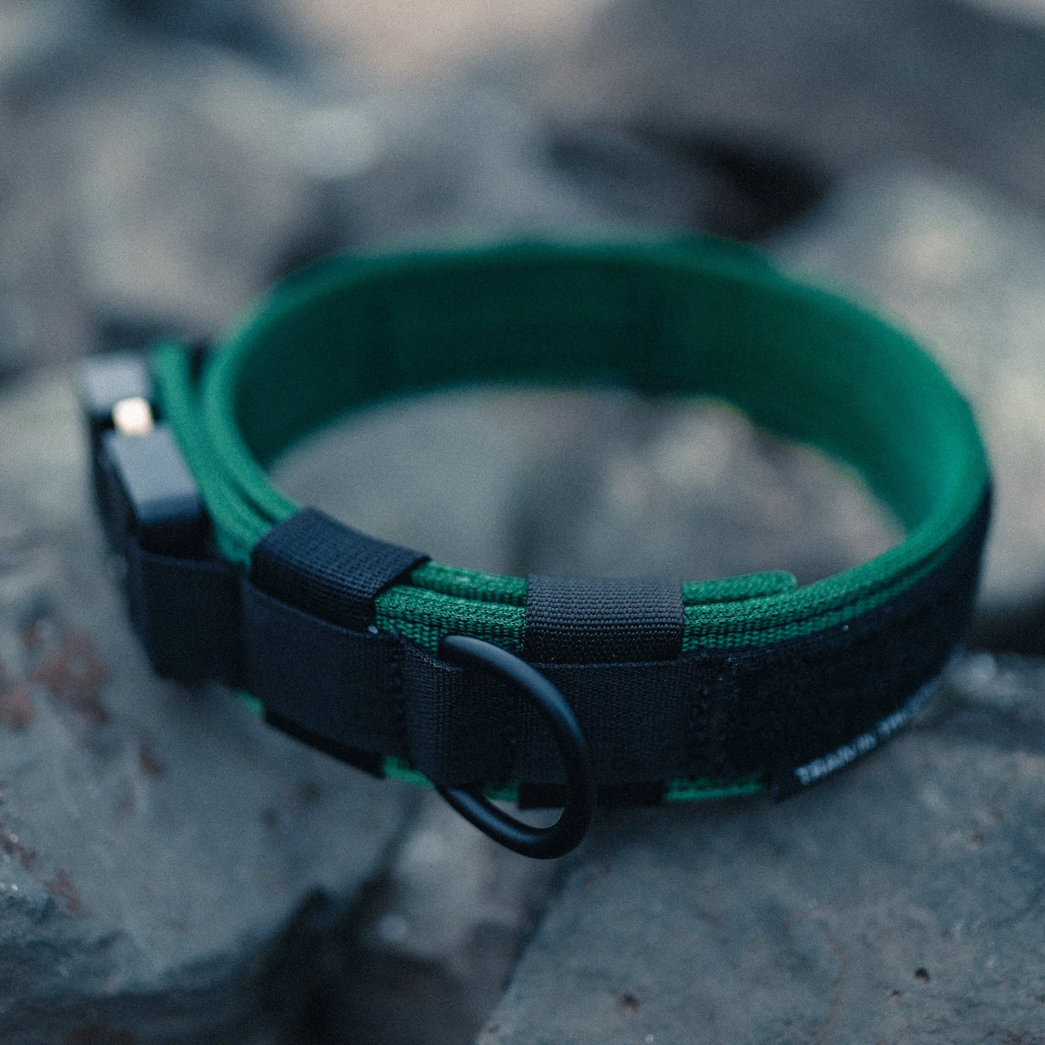 Trigger Nylon Collar 1.5" (Black/Forest Green)